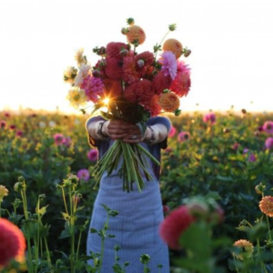 bos bloemen