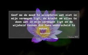 Moed, accepteren, kracht, geluk