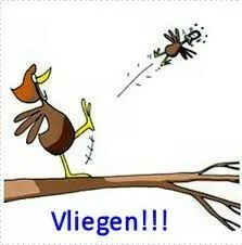 uitvliegen en leeg nest syndroom