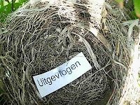 Lege nest syndroom
